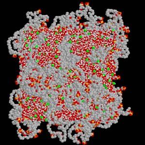 bio-derived, nanostructured