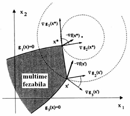 minim local si f (x), g i (x*) = 0, i = 1, 2,, m, diferentiabile intr-o vecinatate a lui x* λ i * R (multiplicatorii lui