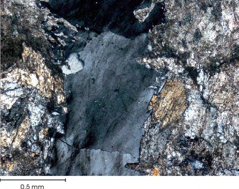 Skel e tal ar range ment of rhodo nite crys tals par tially re - placed by quartz; cross-po lar ized light. Fig ure 7.