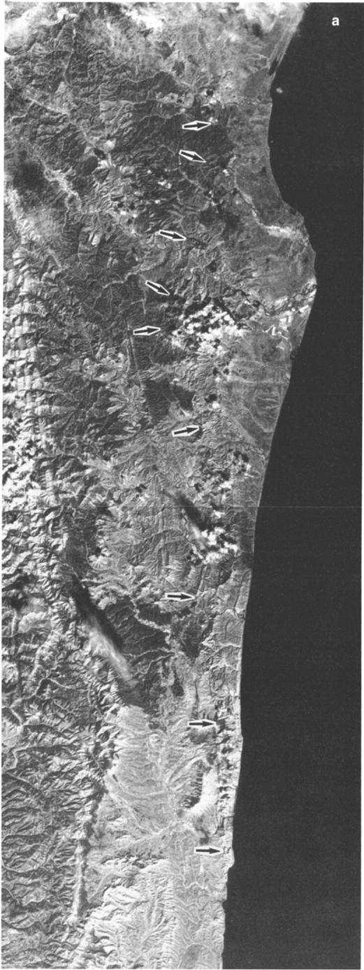 YA R. MAKAROVA LESNAYA R. LOZAVAYA R. Fig. 11. (a) Mosaic of two SPOT images along the Tym-Poronaysk fault (central region localized in Figure 3c)and (b) structural interpretation.