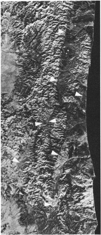 Yatsuo basin is bordered to the east and to the south by large normal faults that probably have some strike-slip component in this transtensional context.