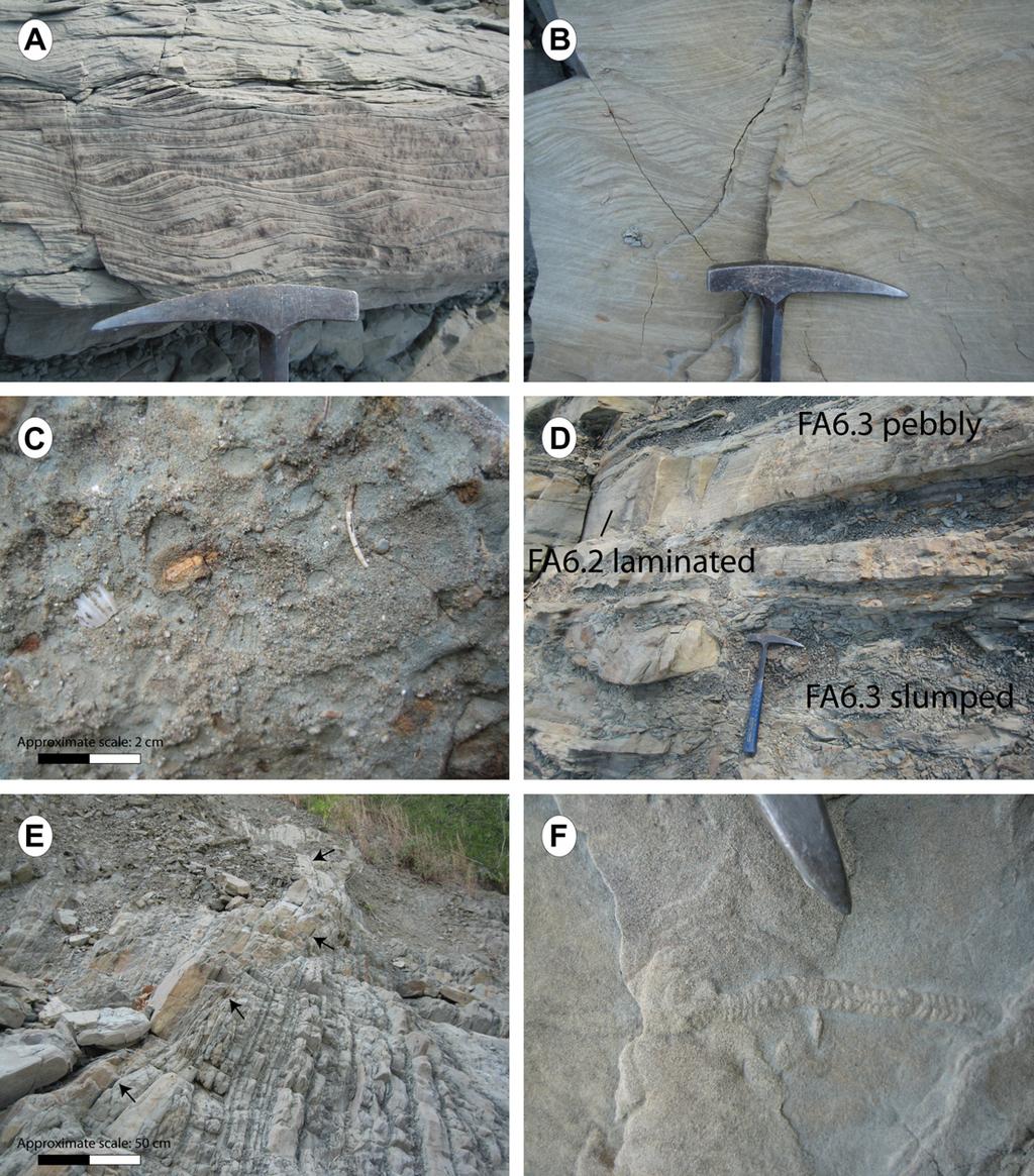 64 S. Castelltort et al. / Journal of Asian Earth Sciences 40 (2011) 52 71 Fig. 12. Field photographs of facies from the Tseng Wen Channel-levee systems.