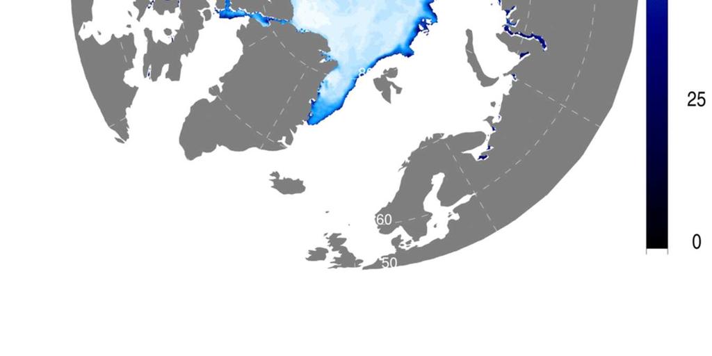 Sea-ice drift (m s-) in the Arctic in ice drift s ) in (e) thefrom Arctic in October 00: IRG from October 00:DEV. (d) fromsea CERSAT satellite(m measurements; IRG_VV.