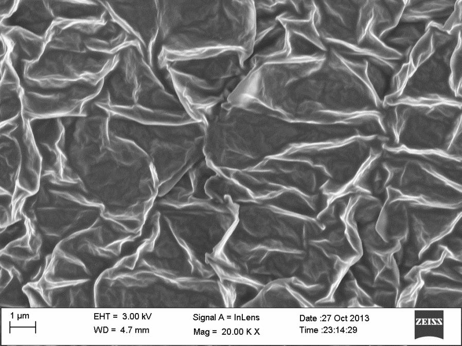 morphology 40 nm 25 nm