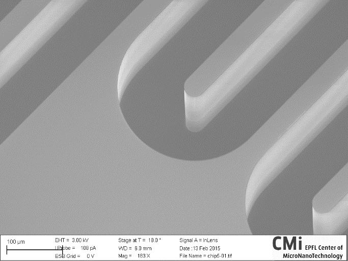 microcolumns were etched 200 μm deep on the topside of silicon wafers.