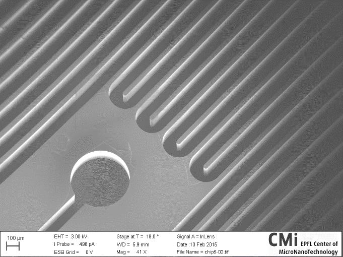 previous section, and then the exposed silicon was etched to create the inlets and outlets. Figure 18 shows the results of the microcolumn etching with SEM (scanning electron microscope) images.