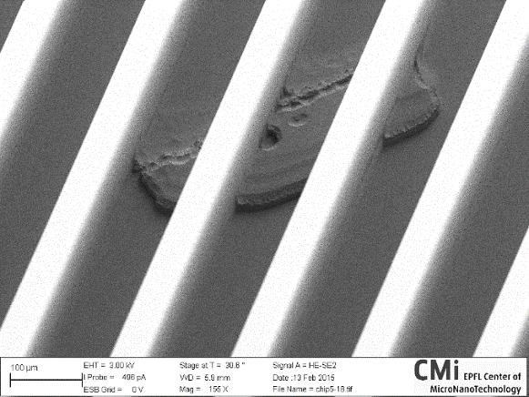 DRIE process. Every effort was made to cleanly process the silicon wafers before silicon etching to minimize these defects. Figure 19 Defects found after DRIE inside the microcolumns.