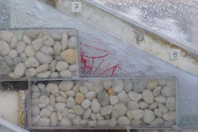 Figure 3 Definition sketches of nappe (Left) and skimming (Right) flows on the gabion stepped weir Red arrows highlight the air-water seepage motion Figure 4 Cavity flow pattern in a skimming flow on