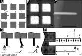 FIGURE 19.20 Overview of one approach used to probe mechanical properties of nanorods and nanotubes.