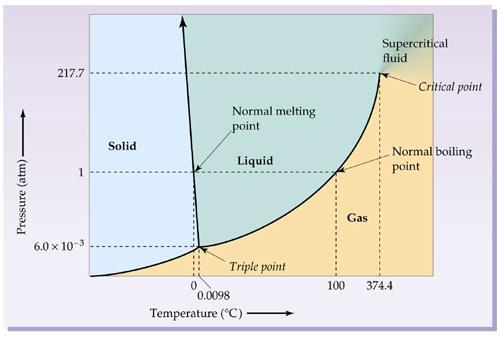 3. What is a phase diagram? Define and label these points on a phase diagram.
