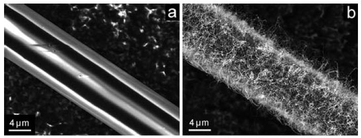 Multiwall carbon nanotube composite Silica fibres +MWCNT