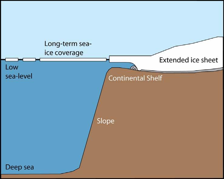 ICE SHEET EXTENT IN PROFILE Ice shelf Ice shelf Glacial ice sheet extent During glacial (cold) periods the ice sheets extend out towards the edge of the continental shelf.