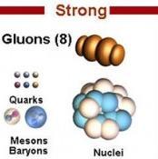 Strong nuclear force Pions (mesons) pi meson Composite nucleons constantly exchange mesons with nearby nucleons w/o being altered themselves Their range is comparable to the separation between