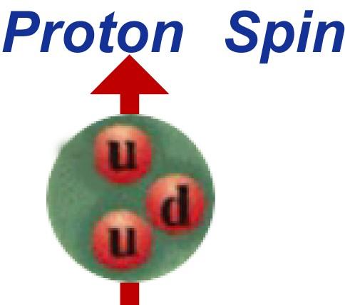 Sea Life The three constituent quarks contribute only 1% of the proton mass