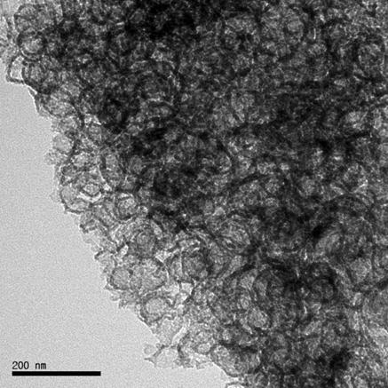 Fig. S1 TEM images of S-MCF