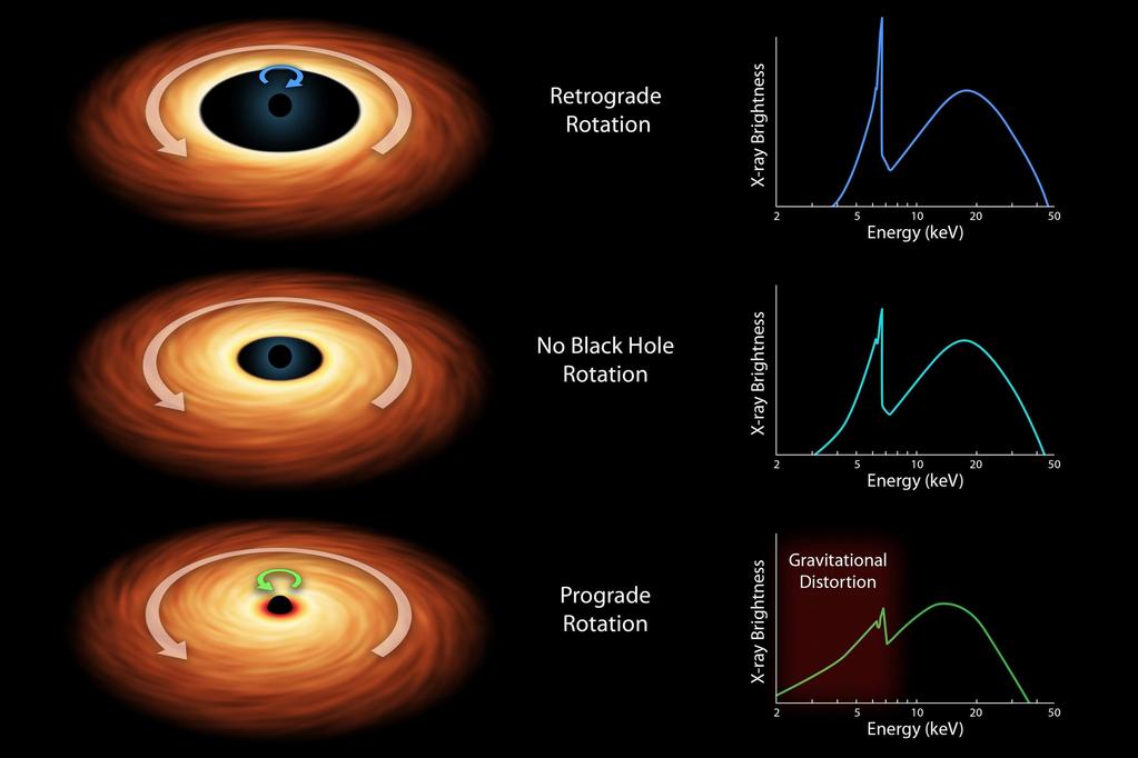 Iron K line to probe Strong Gravity The shape of the Fe K-alpha line can be used to determine the rotation of black holes which is an important parameter to measure.