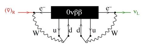 Schechter Valle Standard process: Light Majorana neutrino exchange There are also other lepton number violating processes that can trigger 0νββ Schechter-Valle