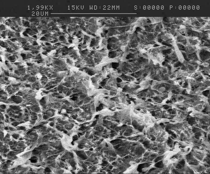These particles seems to be easily debonded and detached from the PA6 matrix due to the poor interfacial adhesion between them.