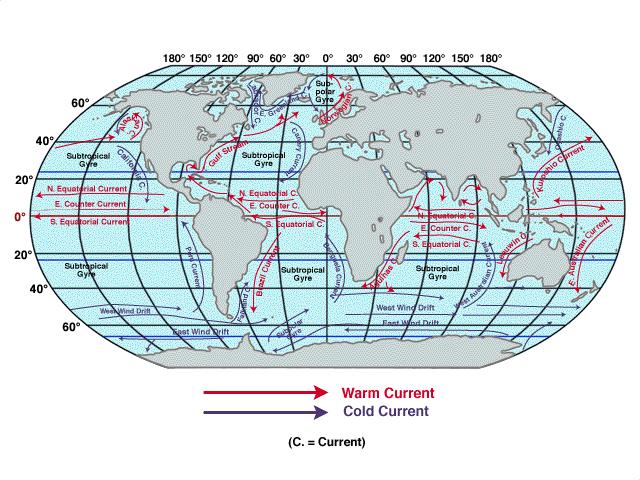 Ocean Currents Like rivers in the ocean: Warm water from the
