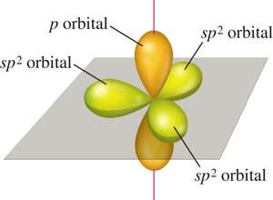 sp 2 Hybridization When the s and two of the three p orbitals combine, the resulting hybrid orbitals are sp 2 hybrid orbitals.