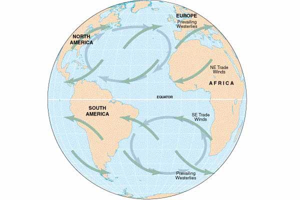 The main ocean circulation features of the surface ocean is the circular flow depicited in this picture. What is this feature called? Is this a high or low pressure region?
