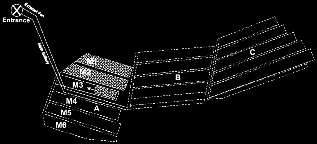 Figure 2 A simplified plan view of Omerler underground mine Soft Claystone 5.
