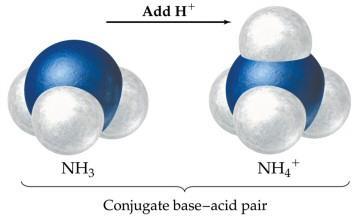 If hydroxide ion accepts a proton it will revert to a water molecule.