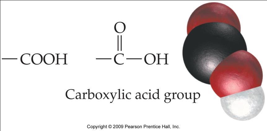 Structure of Acids Carboxylic acids have COOH