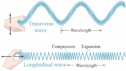 1a Waves can be transverse or longitudinal The two main types of wave form are transverse waves and longitudinal waves.