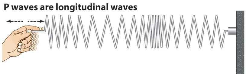 Primary (or P) waves are longitudinal waves and move the fastest.