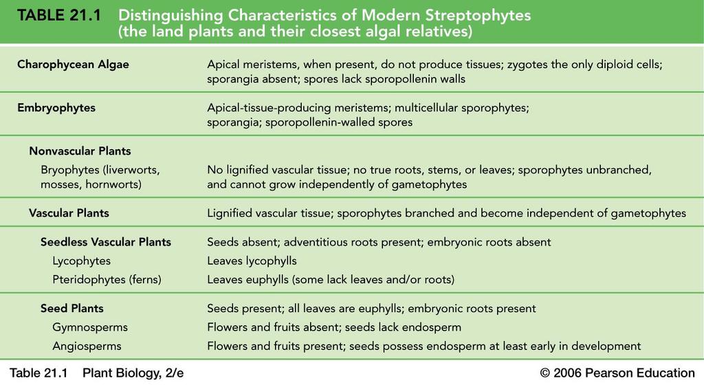 Traits that characterize the 5 modern plant groups DNA, fossils, and other characteristics have been used to construct plant