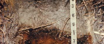 5. Acid Reactions: Strong or weak acids react with soil minerals to hasten weathering.