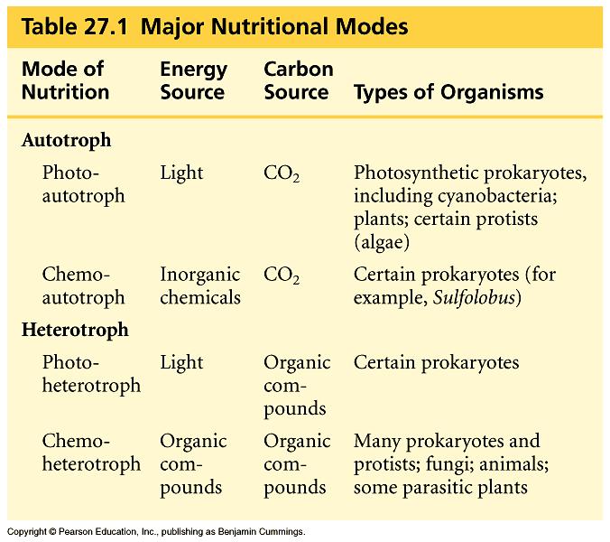 Prokaryote Nutrition All organisms require a source of energy