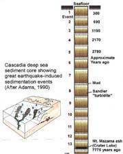 Deep-sea deposits from megathrust