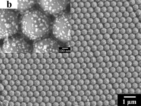 Figure 2a shows the scanning electron microscopy (SEM) image of the ordered silica microspheres on the PDMS stamp transferred by the lift-up method.