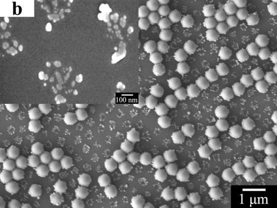 It can be clearly seen that the Ag nanoparticles, with diameters ranging from 30 to 40 nm, are homogeneously distributed on the silica microspheres and form a structure similar to a strawberry, which