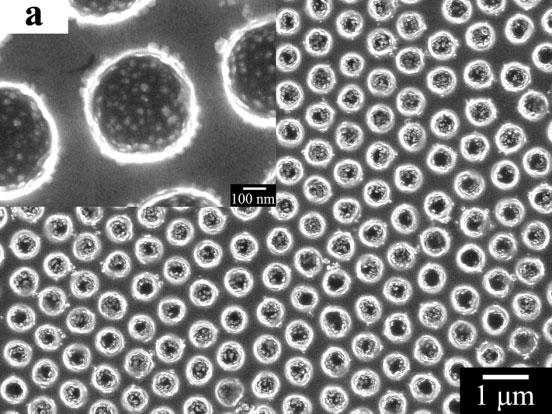 Figure 4. a) SEM image of the ordered Ag-nanoparticle-doped PVA voids; the inset shows the distribution of the Ag nanoparticles in the voids.