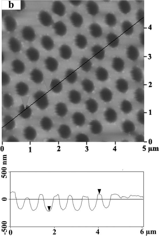 The relative 2D atomic force microscopy (AFM) image and the corresponding cross-section analysis in Figure 4b shows that the depth of the composite voids is about 310 nm, which suggests that the
