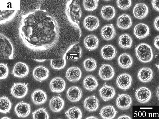 In addition to constructing the Ag-nanoparticle-doped polymer voids, these ordered composite microspheres and voids can be further used as templates to fabricate more complex structures.