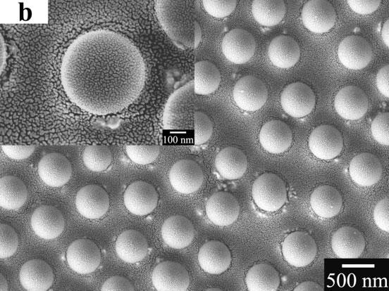 SEM images of a) the ordered Ag-nanoparticle-doped PVP and gold composite voids obtained by directly evaporating a layer of gold film onto the Ag-nanoparticle-doped PVP voids in Figure 4a.
