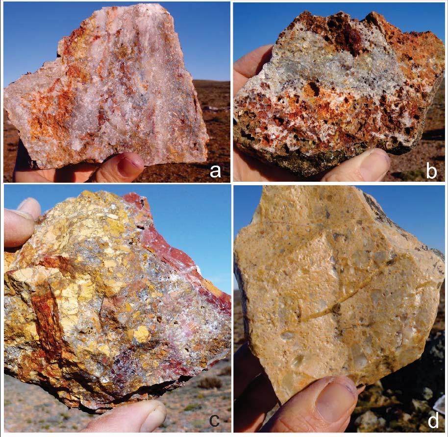 Photos of mineralised rock samples (a, b and c) from