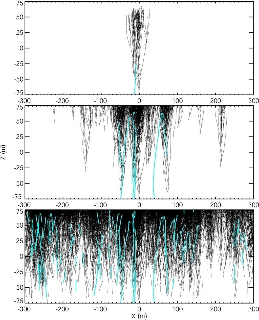 Relativistic feedback discharge (RFD) aka Dark Lightning due to x-rays and positrons. The central avalanche is due to the injection of a single, 1 MeV seed electron.
