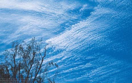 Cirrocumulus: usually cover only small part of