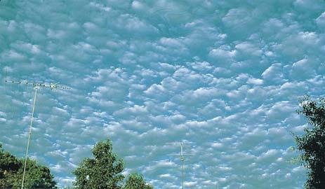 120) Altocumulus: individual clouds about size
