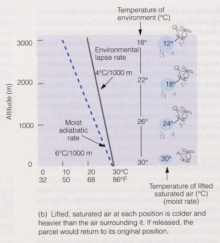 Atmospheric stability depends on the environmental lapse rate A rising saturated air parcel cools according to the moist adiabatic lapse rate When the environmental lapse rate is smaller than the