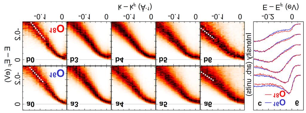 Inset of panel c shows the cut numbers. In panel c, isotope dependence of a few selected EDC s are shown for cut 6. The top pair corresponds to k=k F, i.e. momentum value on the normal state Fermi surface, shown as a curve in the inset.