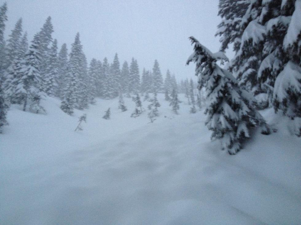 Date: 13 April 2013 Location: Red Mountain, Snoqualmie Pass, WA Accident: several persons partly or completely buried, 1 fatality Submitted by: Garth Ferber and Dennis D Amico (Northwest Avalanche