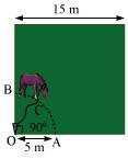 given figure). Find (i) The area of that part of the field in which the horse can graze.