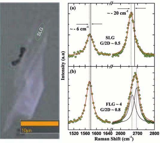 Raman spectroscopy of graphene on different substrates 583 larger in presence of defects. We have recorded the Raman spectra of several single layer graphene flakes.