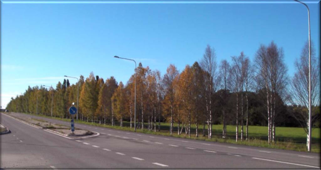 Genetically controlled growth and inwintering Birch with